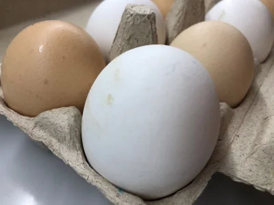 Цены на куриные яйца в Башкирии снизились на 19%