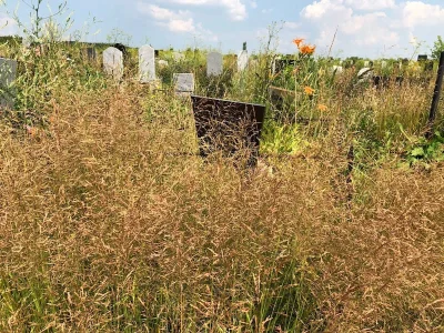 Башкирия оказалась лидером по количеству открытых для захоронений кладбищ