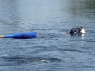 В Стерлитамакском районе парень нырнул в озеро и не вынырнул